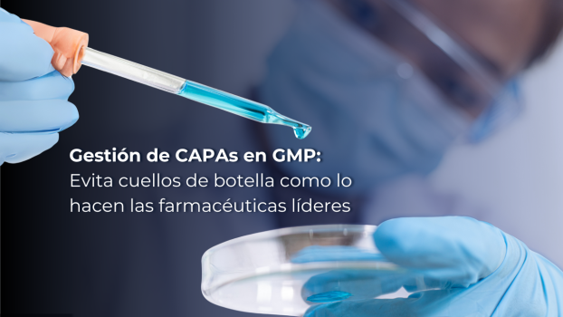 Portadas WORDPRESS (23)