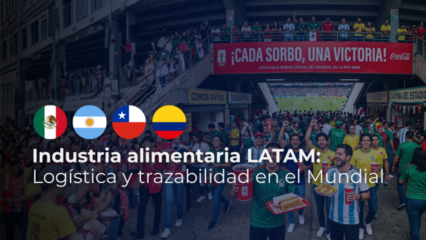 Portadas WORDPRESS (5)