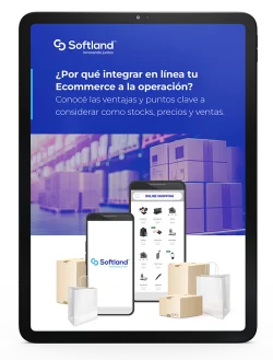 tapa-ebook-ecoomerce